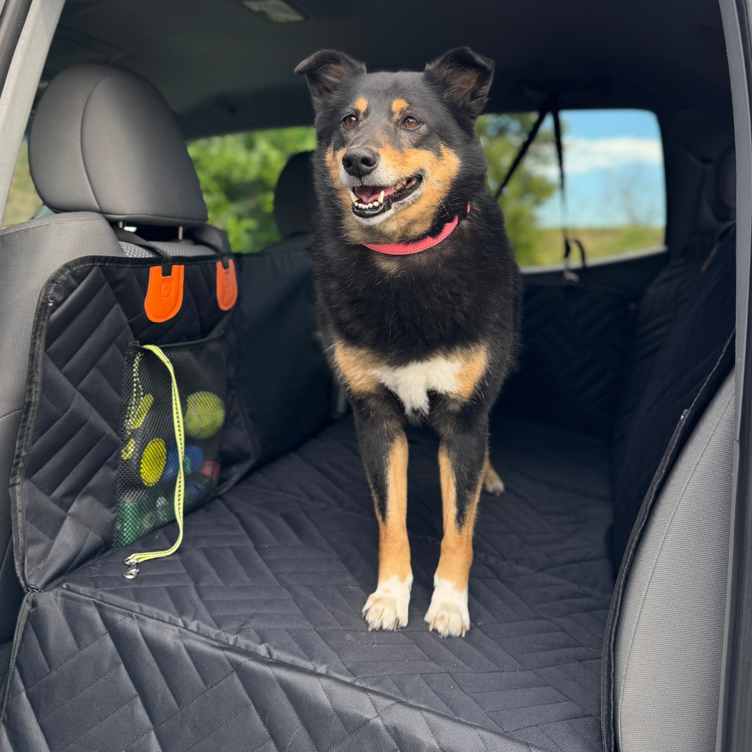 Companion&Co™ Hard Bottom Car Seat Cover