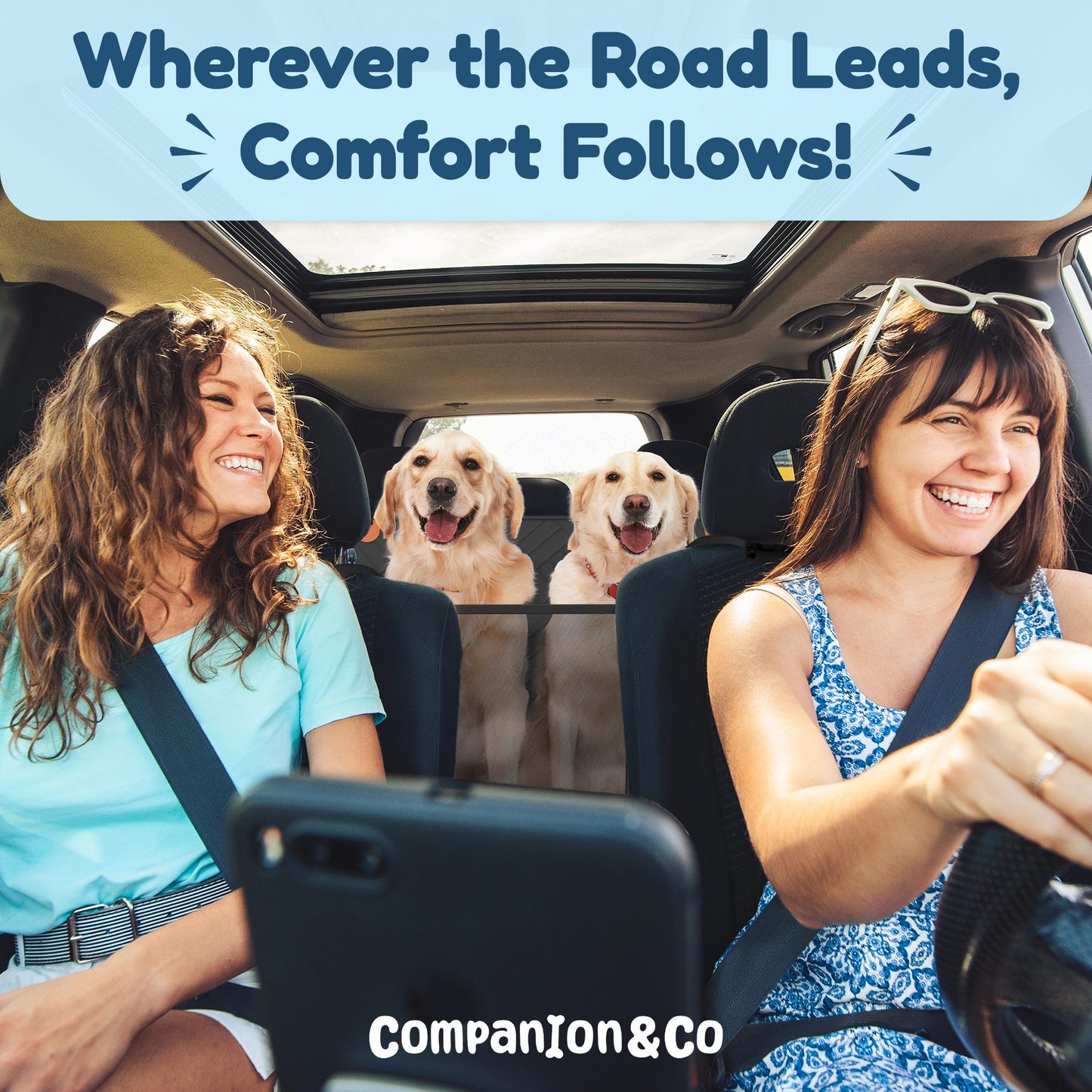 Companion&Co - Hard Bottom Car Seat
