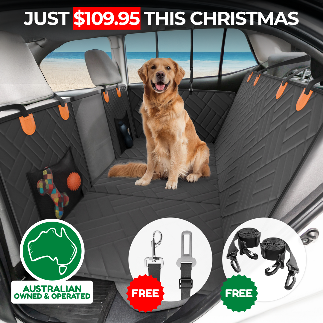 Companion&Co™ Hard Bottom Car Seat Cover