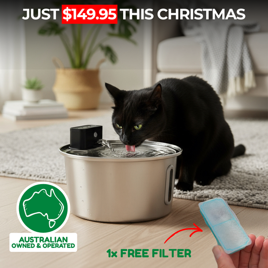 Companion&Co™ Pet Water Fountain