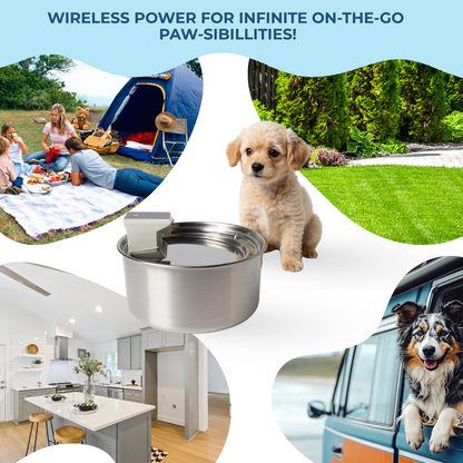 Companion&Co™ Pet Water Fountain