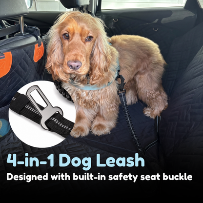 Companion&Co SafeRide Bungee Lead