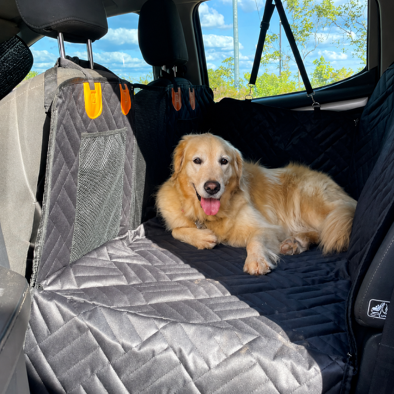 Back seat after the cover — clean, protected and one happy dog