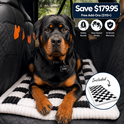 Companion&Co™ CalmDrive Travel System