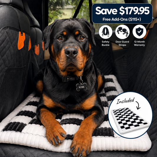 Companion&Co™ CalmDrive Travel System