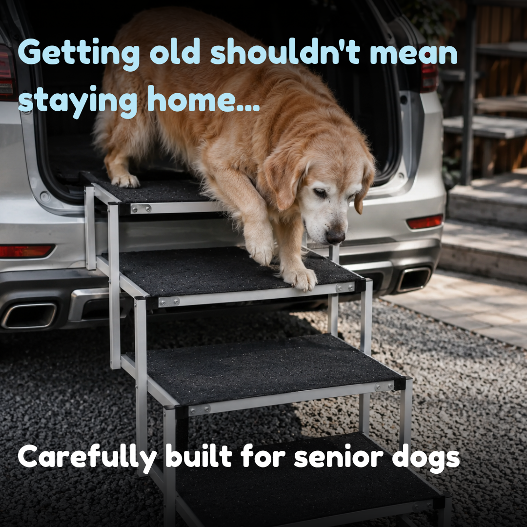 Companion&Co SafeStep Portable Dog Stairs