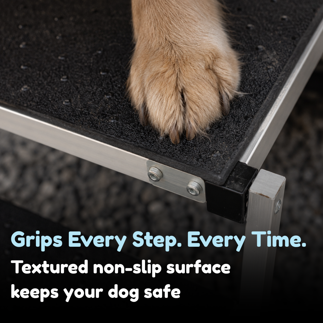 Companion&Co SafeStep Portable Dog Stairs