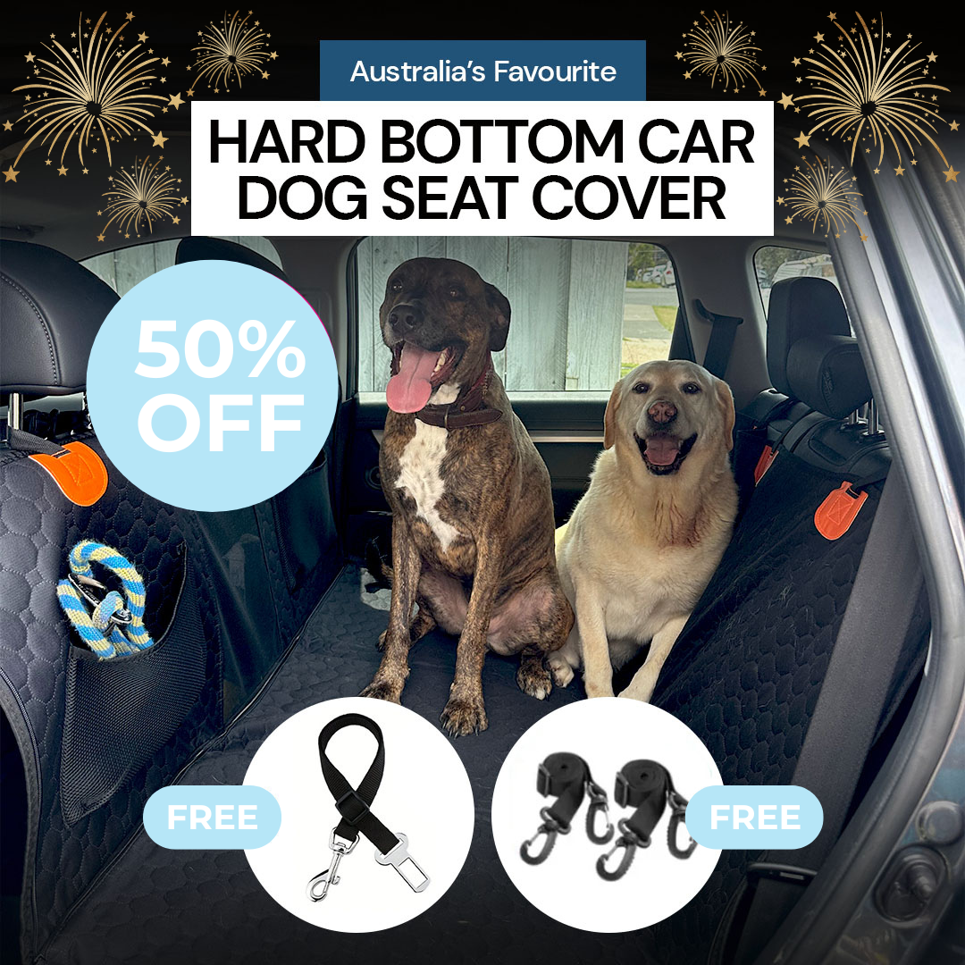 Companion&Co Hard Bottom Car Seat Cover - NEW YEAR SALE