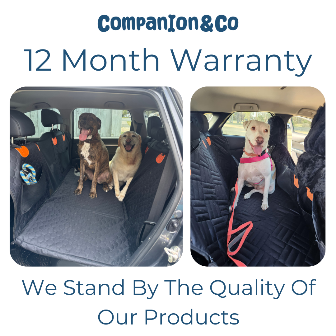 Companion&Co - 12 Month Warranty