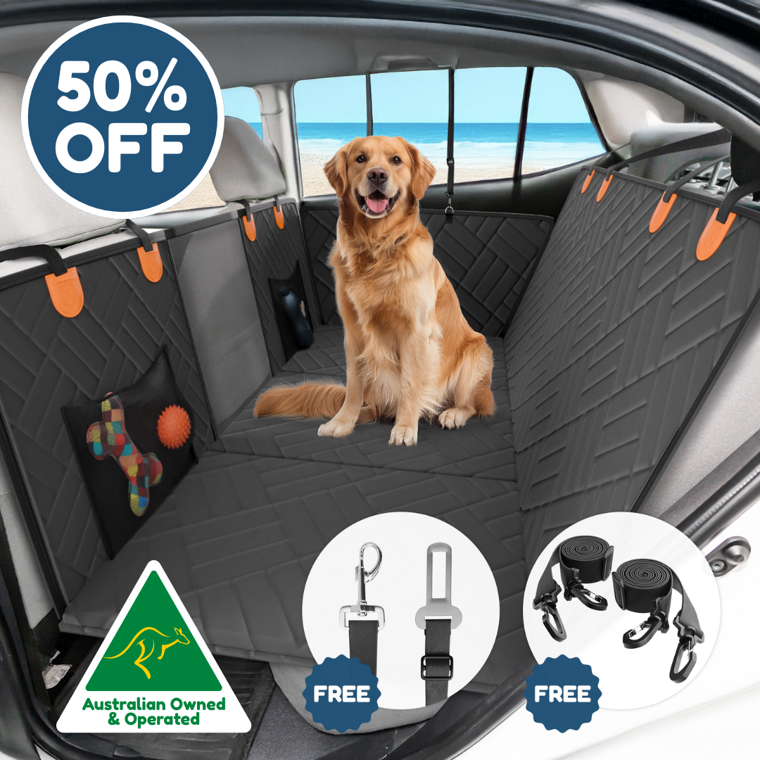 Companion&Co - Hard Bottom Car Seat