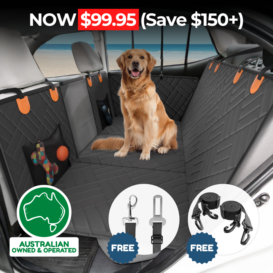 Companion&Co™ Hard Bottom Car Seat Cover