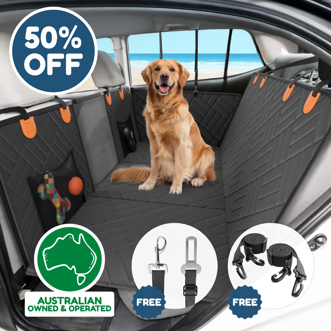 Companion&Co - Hard Bottom Car Seat