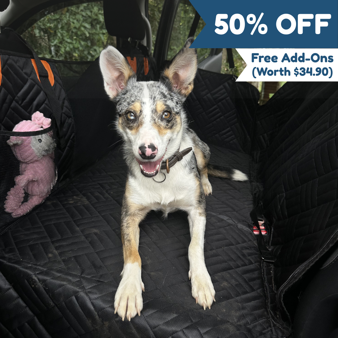 Companion&Co™ Hard Bottom Car Seat Cover