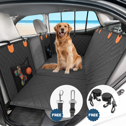 Companion&Co™ Christmas Bundle