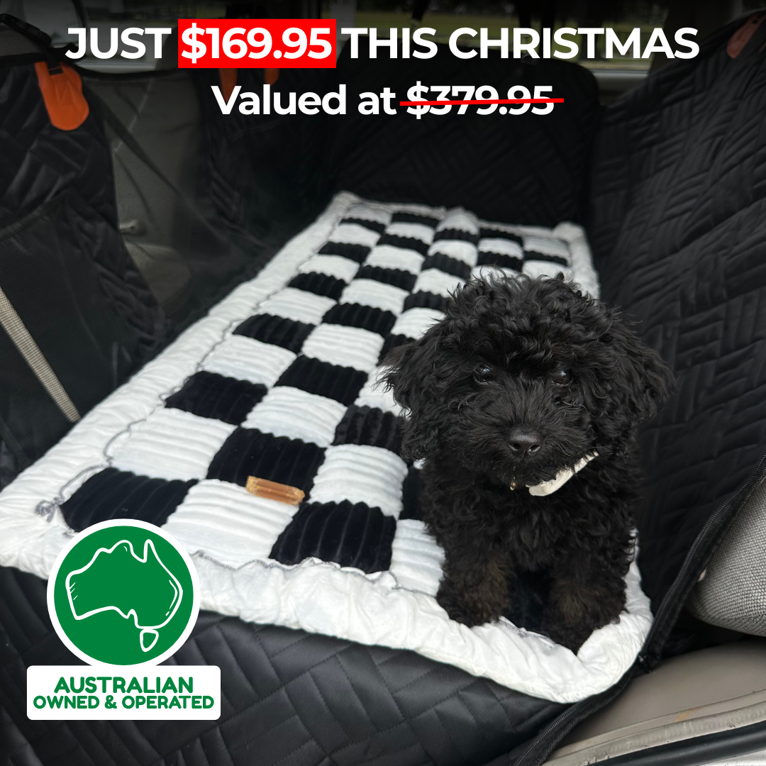 Companion&Co™ Christmas Bundle