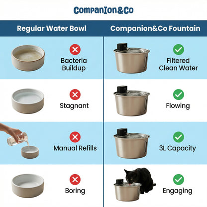 Companion&Co™ Pet Water Fountain