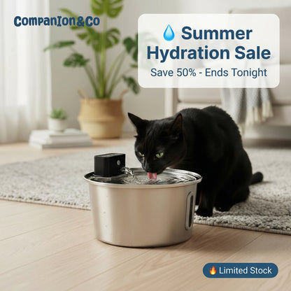 Companion&Co™ Pet Water Fountain