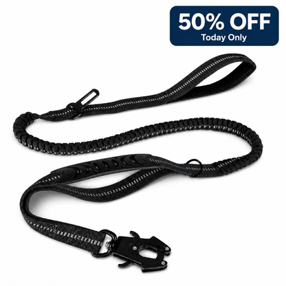 Companion&Co SafeRide Bungee Lead