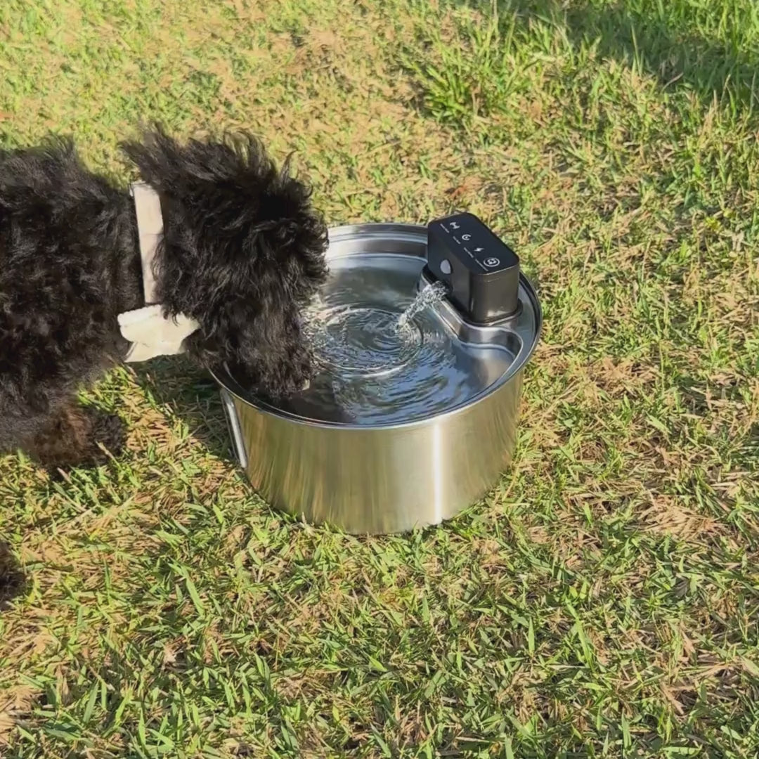 PetRide Pet Water Fountain