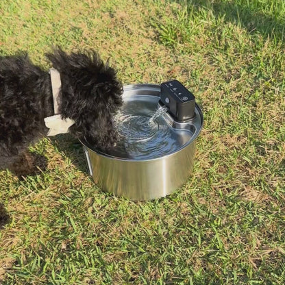 Companion&Co - Pet Water Fountain