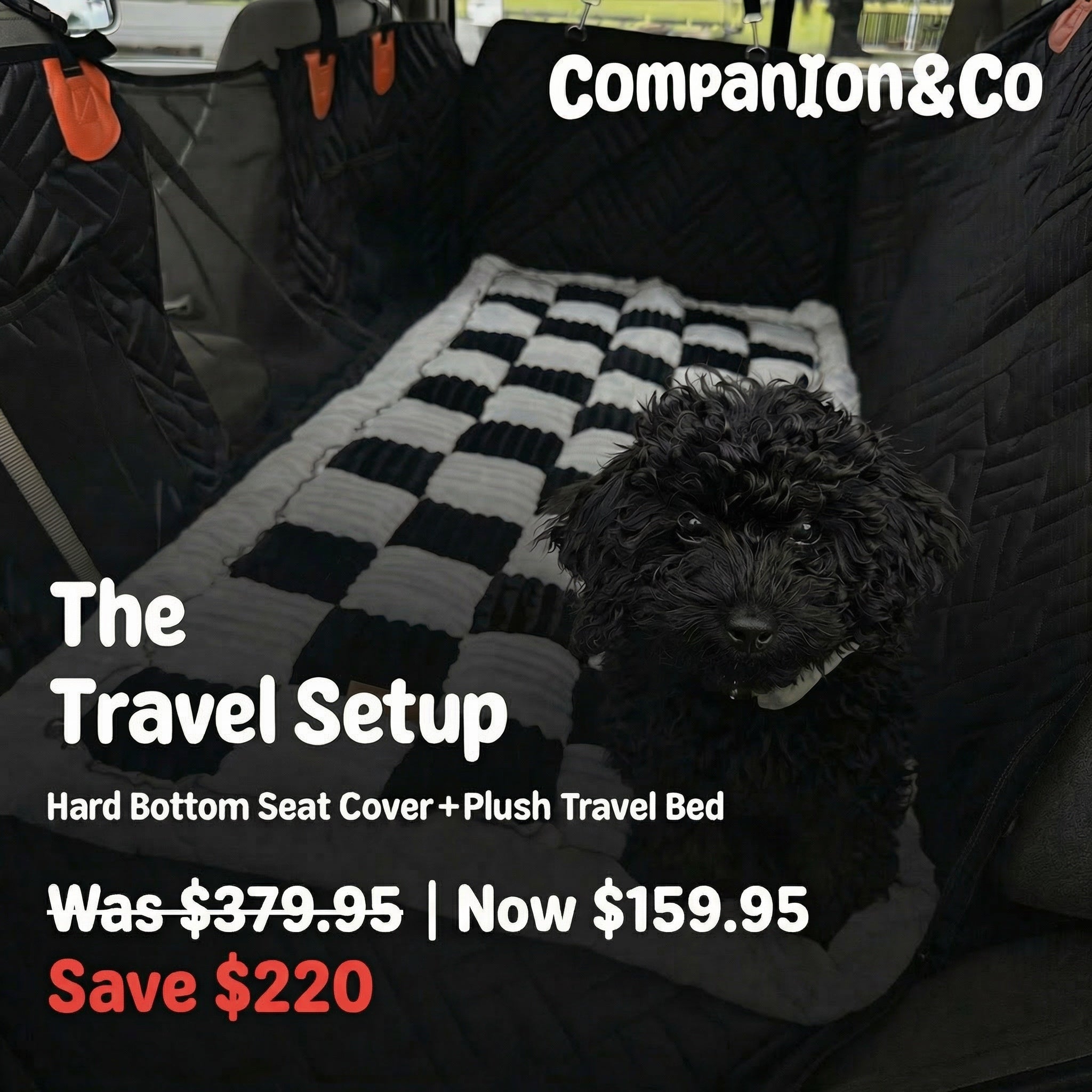 SteadyRide Travel System