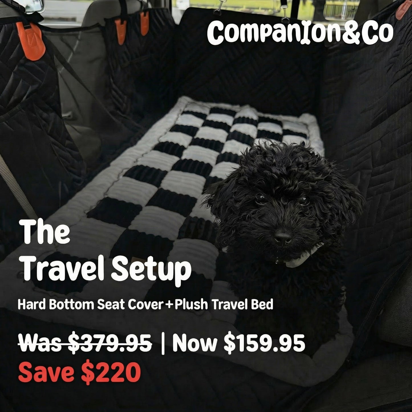 Companion&Co™ CalmDrive Travel System